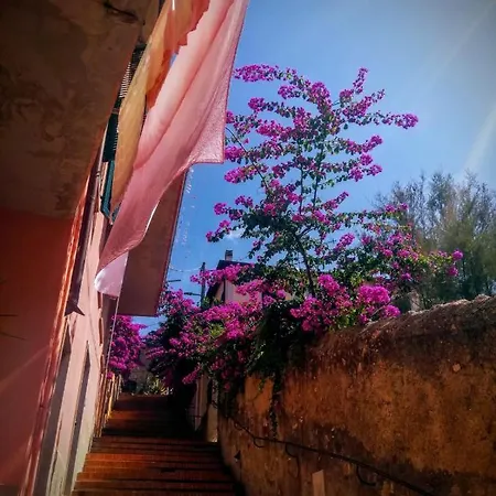 La Grotta Del Polpo Tellaro